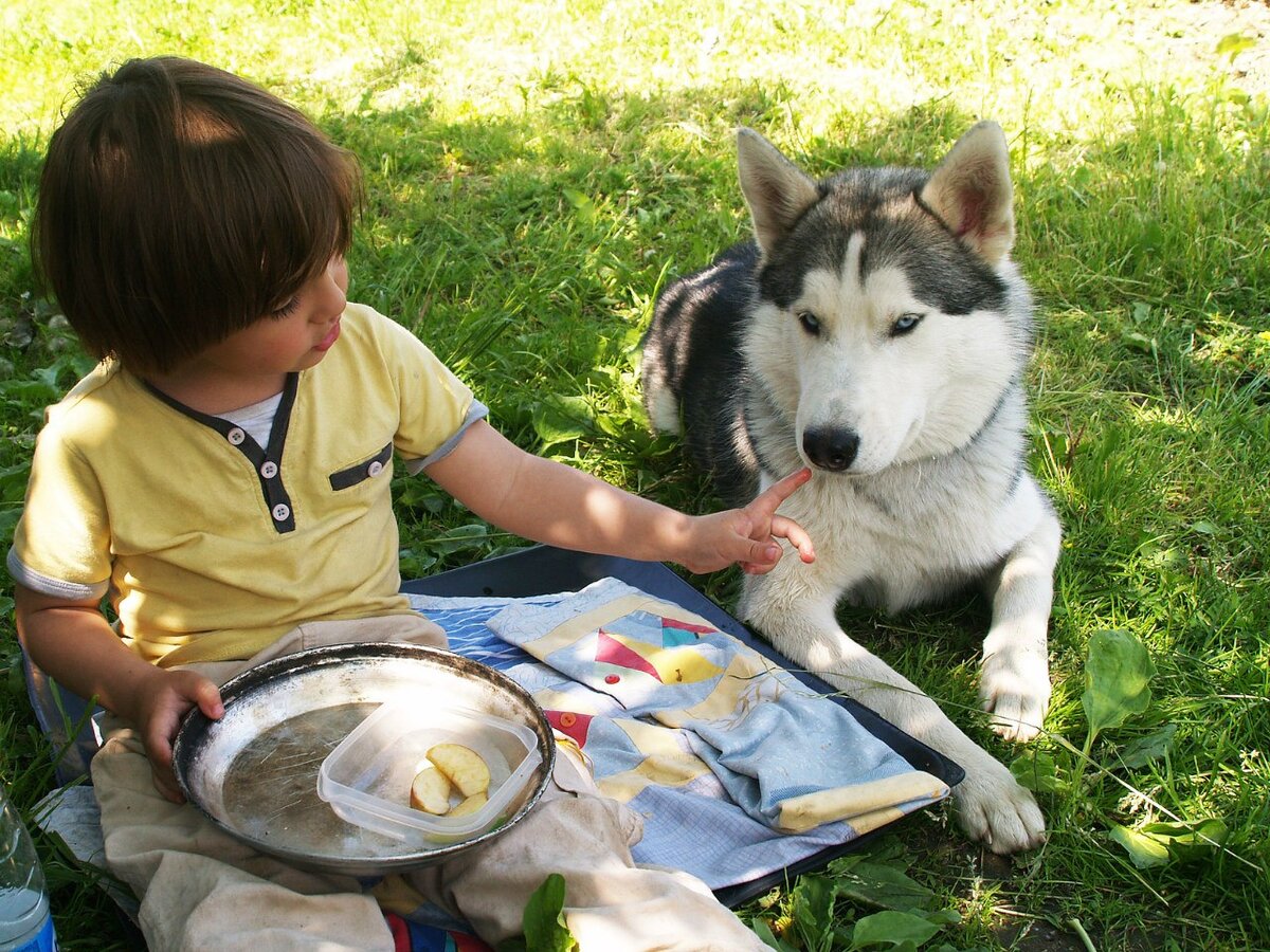 Горыныч и Славик на даче