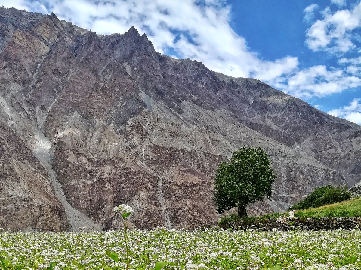 Это уже Каракорум