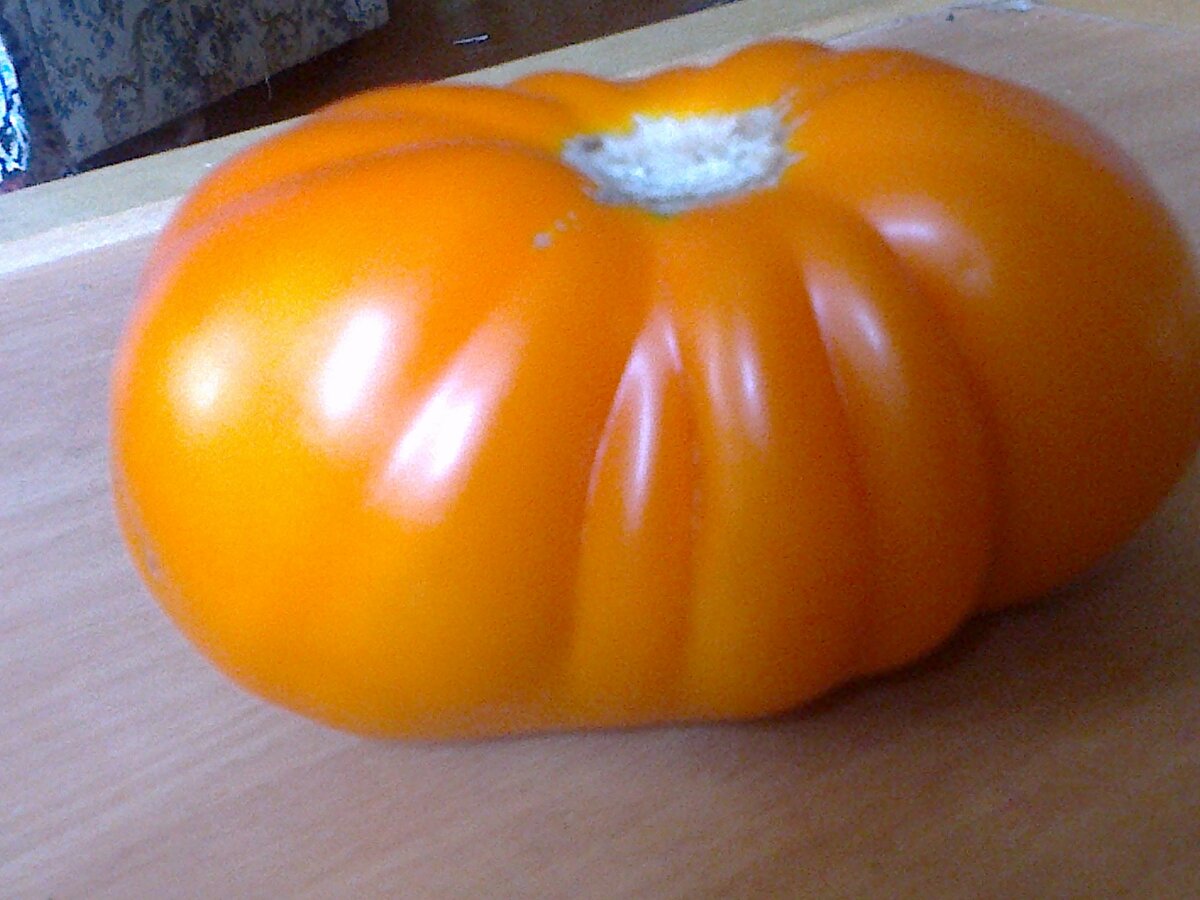 Обожаю помидоры! Не только есть, но и выращивать! В марте с нетерпением жду день «икс» когда уже пора будет приступать к посеву. Люблю смотреть, как растут и крепнут помидоры. Мне они кажутся очень симпатичными растениями. А сладкие плоды – это приятный бонус.