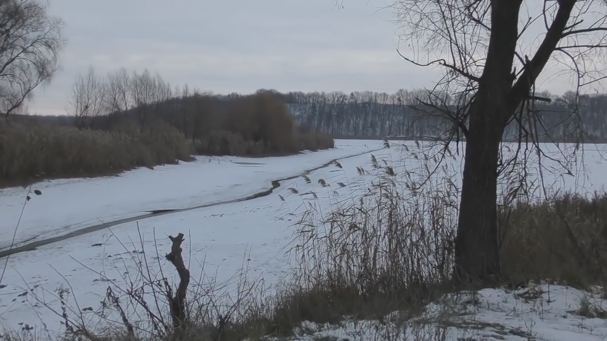 Жители подмосковья замерзают. Коп зимой в речке. Каменка замерзает. Замёрзшее болото СНТ Рябинка.