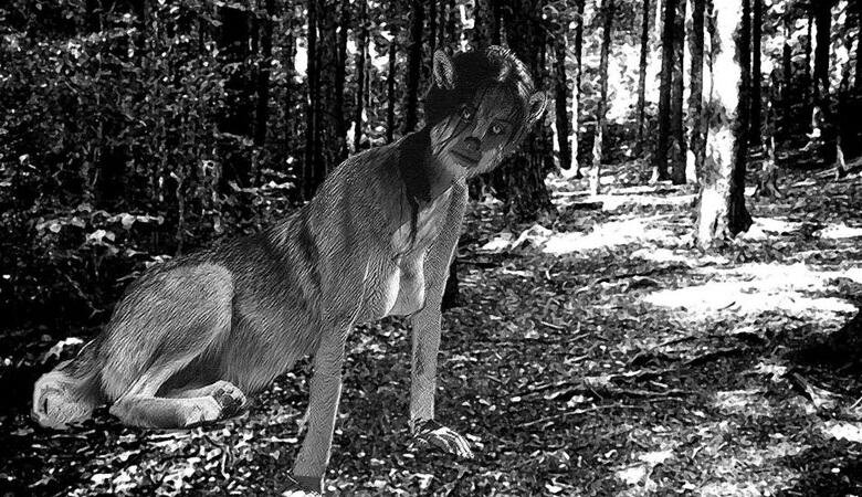 Женщина-волк из Алабамы