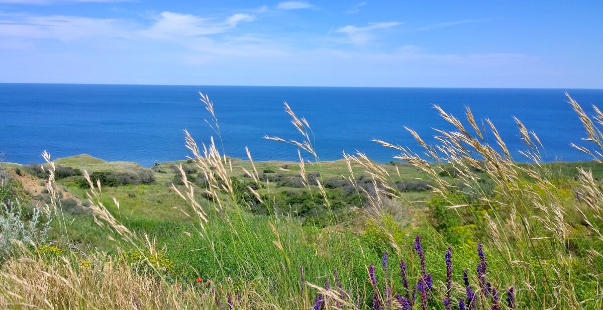 Азовский берег фото. Кубань Азовское море. Степь Азовское море. Кучугуры Кубанская. Кучугуры Маяк.