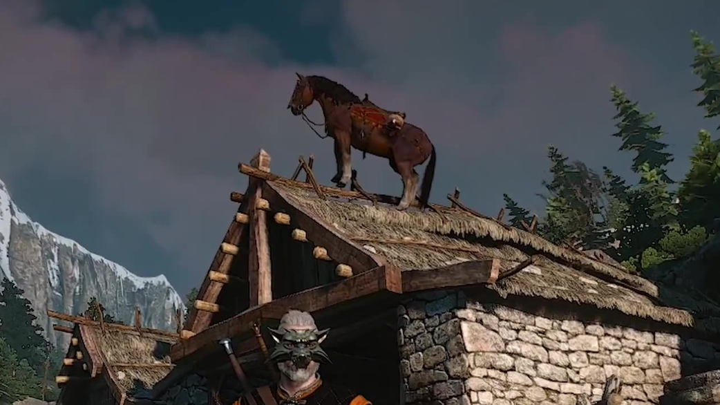 Плотва игра. Ведьмак 3 плотва на крыше. witcher 3 плотва. плотва ведьмак 3. плотва из ведьмака 3.