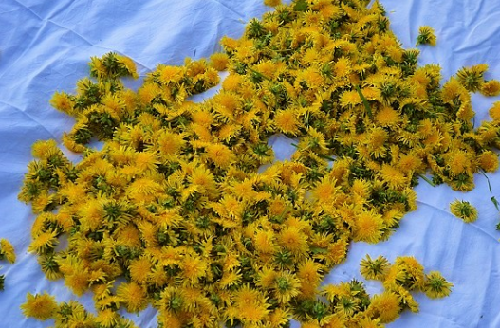 фото: http://zblogowani.pl