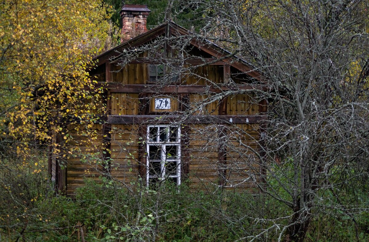 тайга хижина лесника. сторожка путевого обходчика. дальняя сторожка. дальняя сторожка. хижина гномов, британская колумбия.