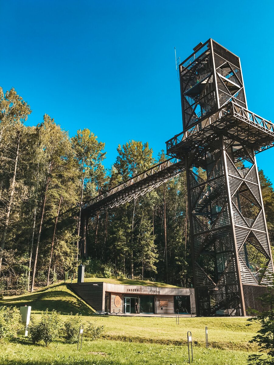 Фото c парка "The Treetop Walking Path".