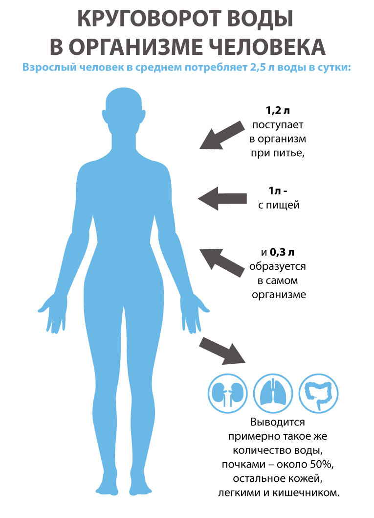 Сколько нужно пить воды в день, что если пить много или мало, как происходит гидратация