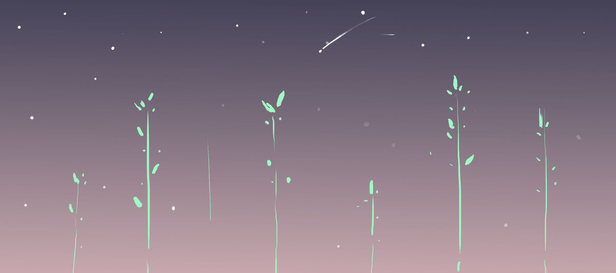 Новое начало