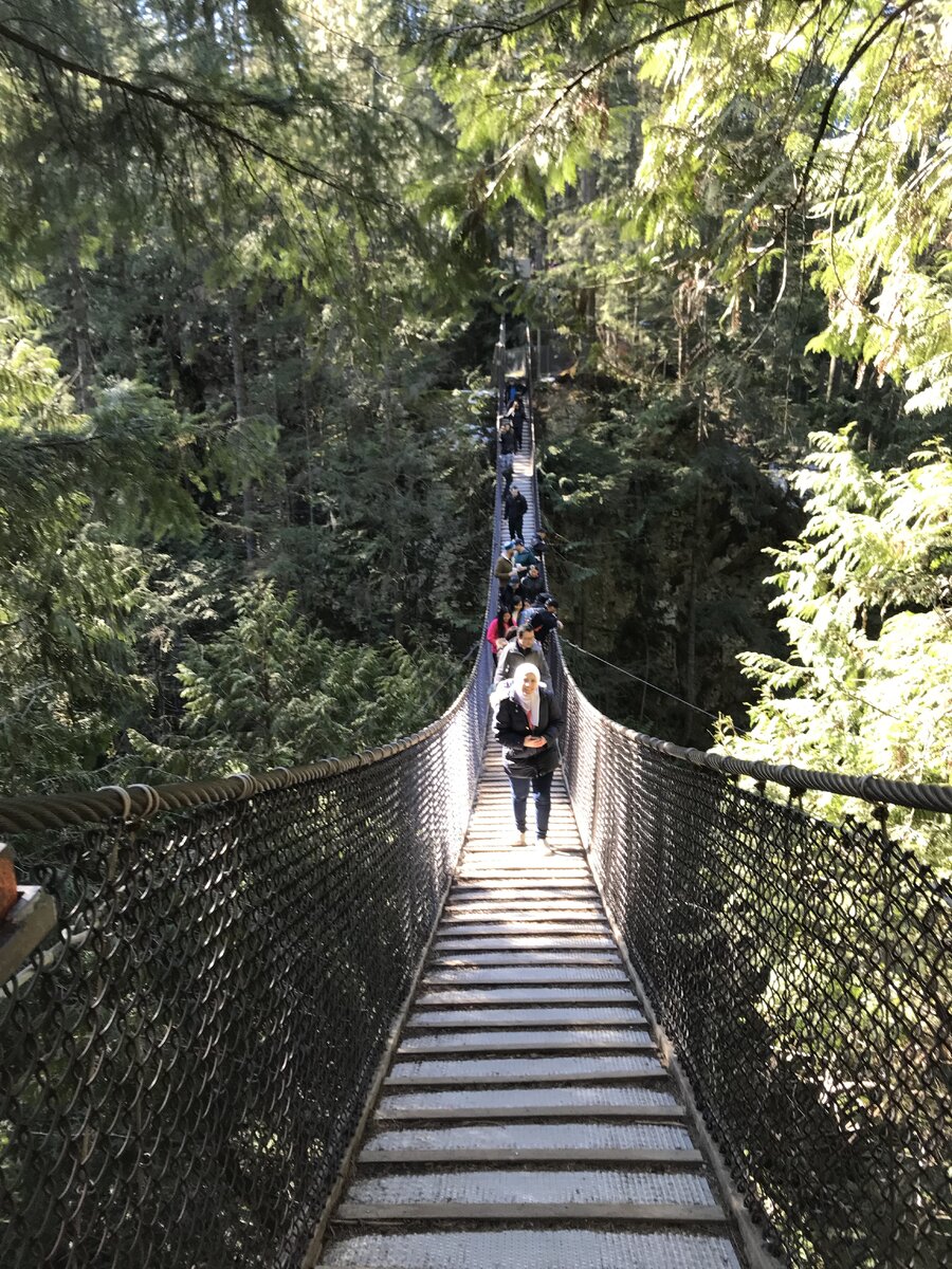 Lynn Canyon Suspension Bridge