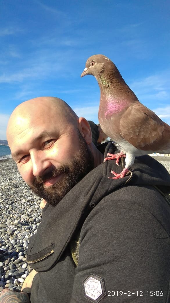 Пляж ривьера