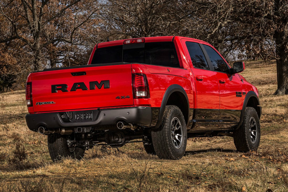 Гипертрофированно крупные элементы экстерьераФото: Пресс-служба RAM.