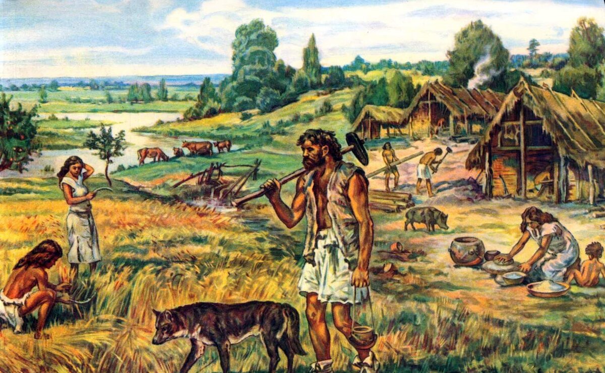 К агрономии относятся исследования отдельных растений, типов почв, а также их взаимодействия.