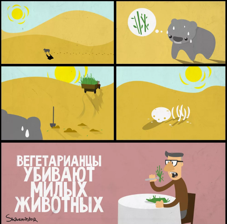 кот с салатом. шутки про веганов. веган приколы. вегетарианец прикол. кот на диете.