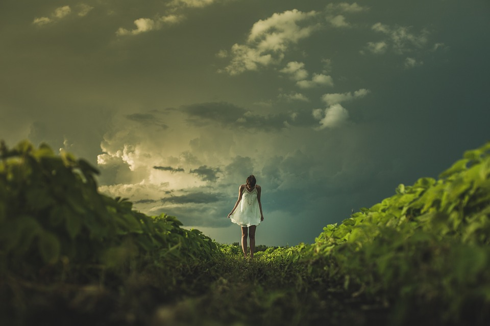 https://pixabay.com/ru/photos/%D0%B4%D0%B5%D0%B2%D0%BE%D1%87%D0%BA%D0%B0-%D1%85%D1%80%D0%B0%D0%B1%D1%80%D1%8B%D0%B9-%D1%85%D1%80%D0%B0%D0%B1%D1%80%D0%BE%D1%81%D1%82%D1%8C-843076/