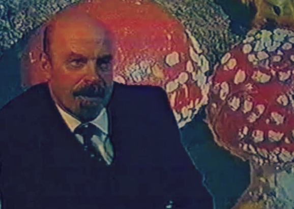 Политика СССР, Жизнь в СССР