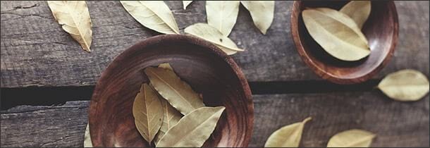 Фото из свободного доступа.