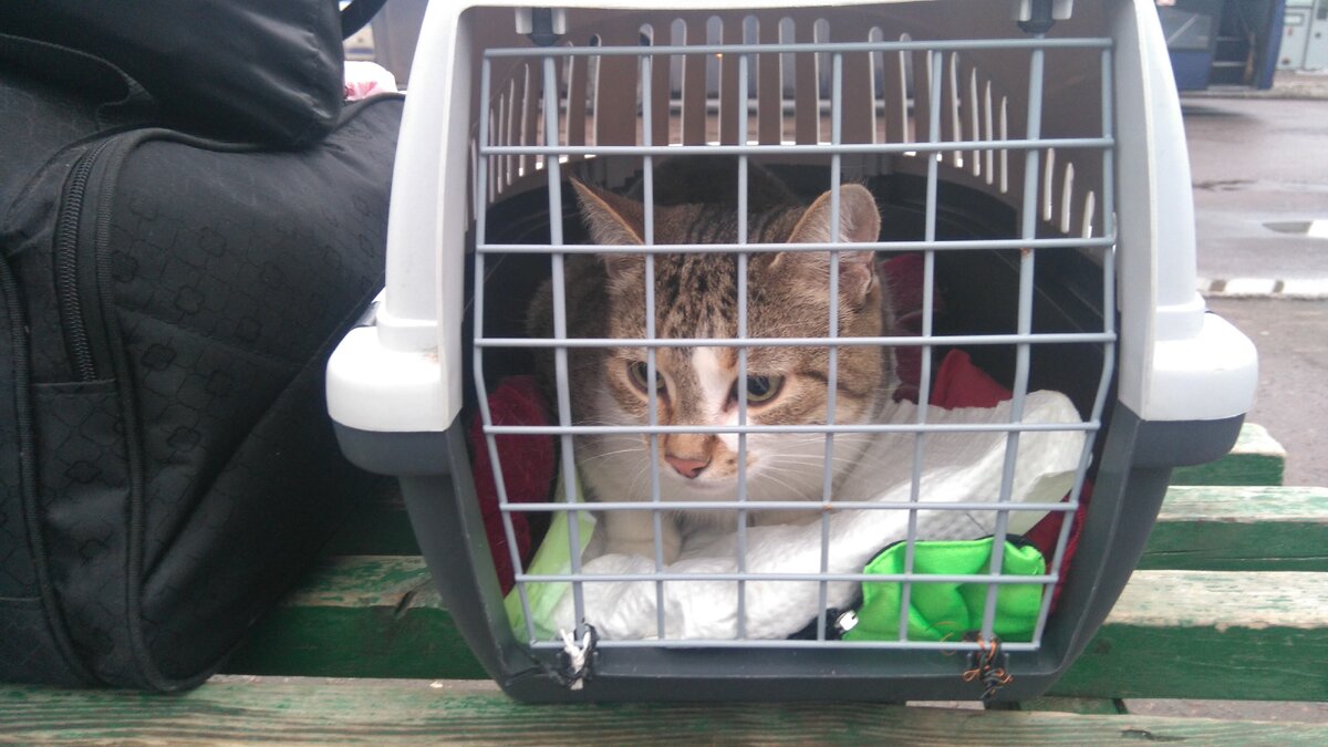 Фото автора истории. 