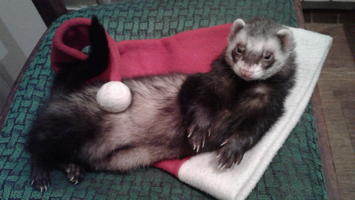 Вид барина. Суть - такая же.