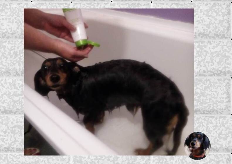 Лара в душе