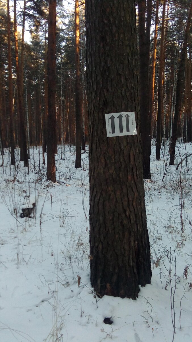 Знак для бегунов 