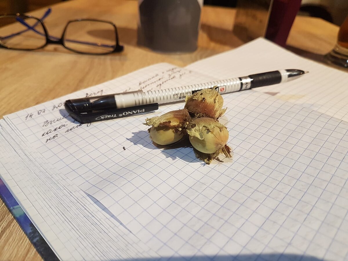 Три орешка для Золушки. Фото из архива автора