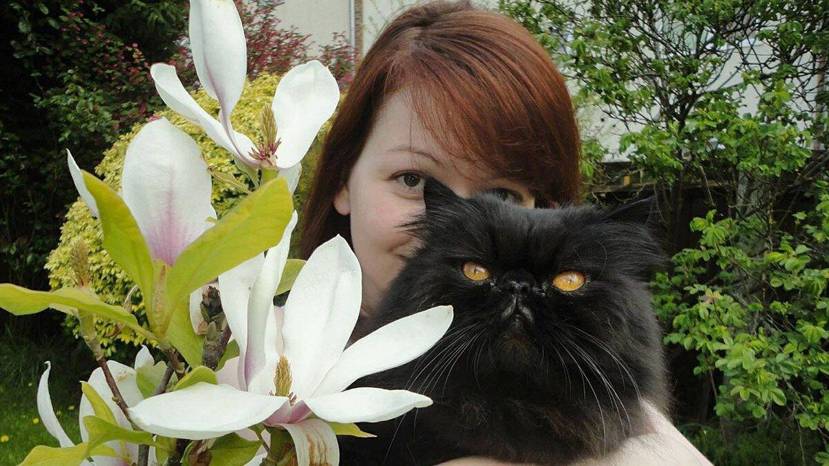 Я бы на месте Юли за своего кота пасть порвала  любой полиции  мира.