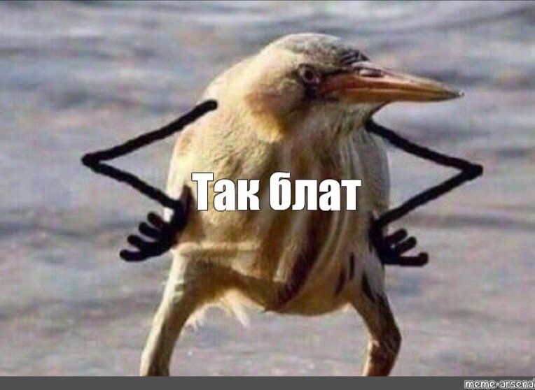 Яндекс картинки