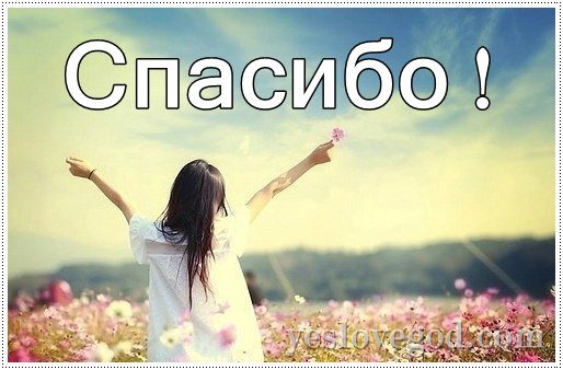 Изображение взято из открытого источника 