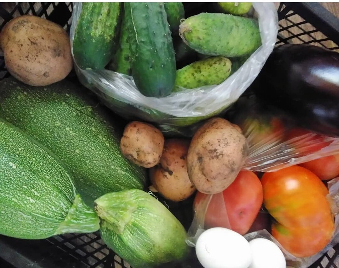 Урожай. Фото из личного архива