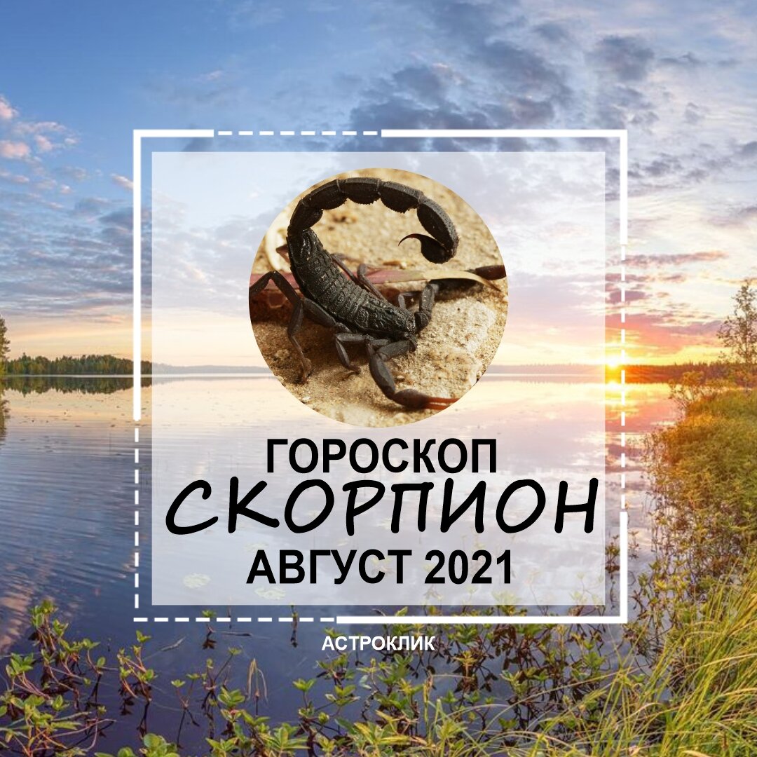 Гороскоп скорпион август