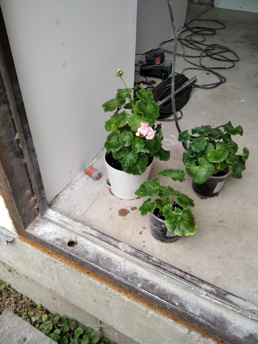 24 июля 2021 года