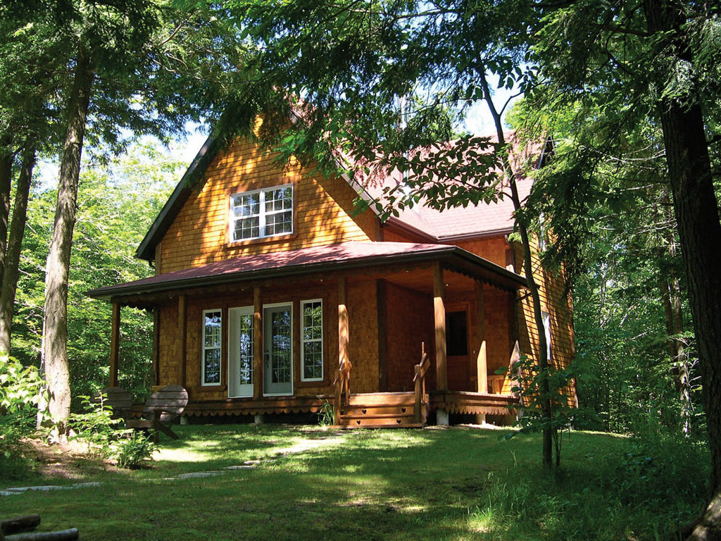 Фото из открытого источника Яндекс Картинки