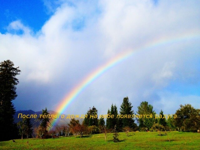 Фото из Интернета