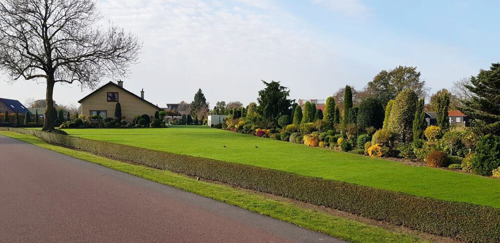 В Нидерландах красиво, конечно