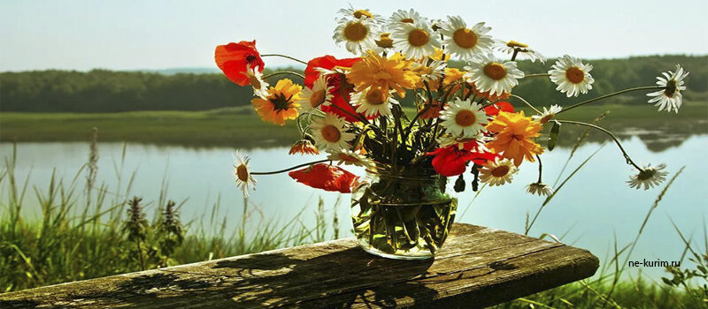 Просто для хорошего настроения!