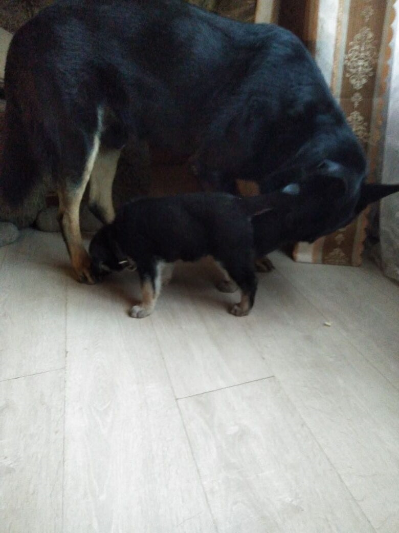 Знакомство.