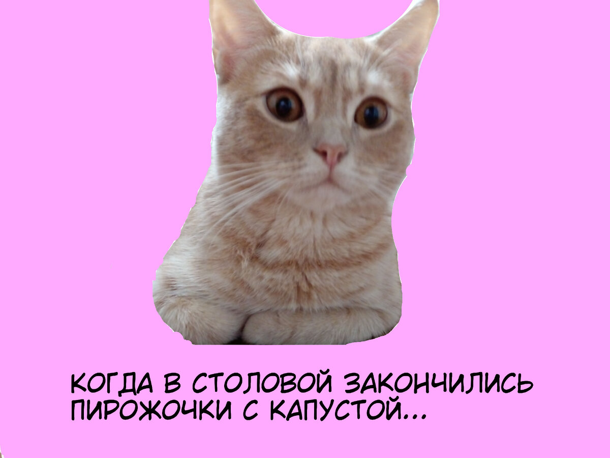 Удивить готов. Удивить готов