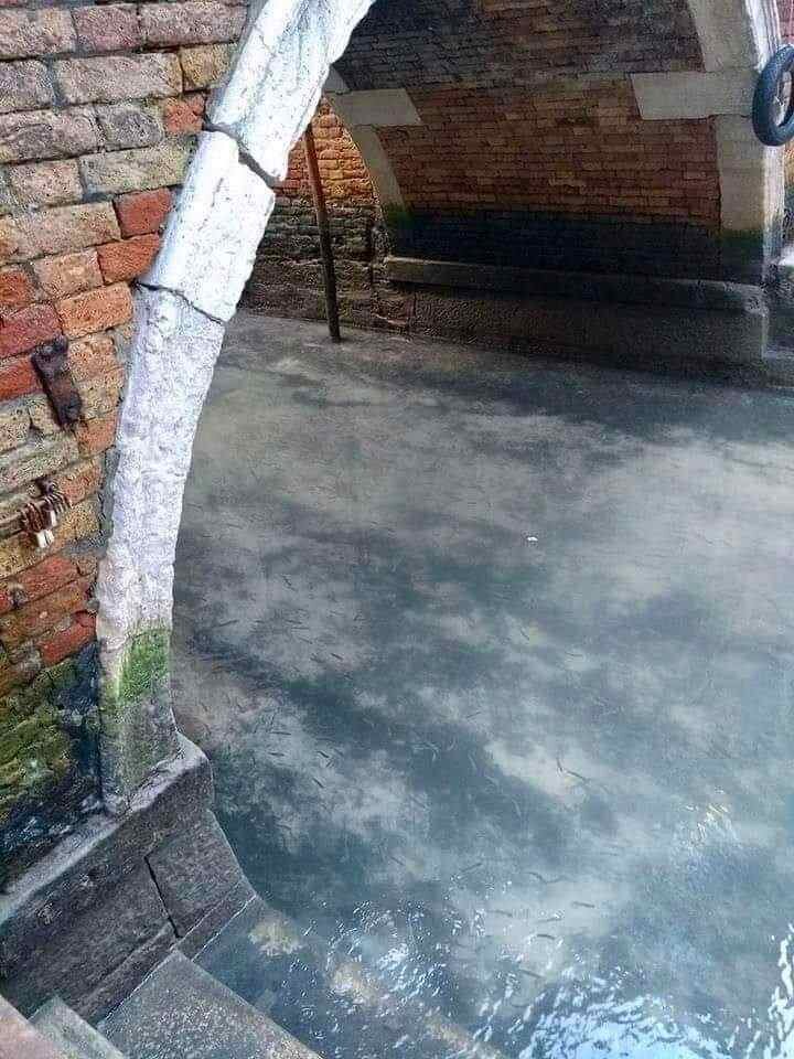 Источник фото: twitter.com