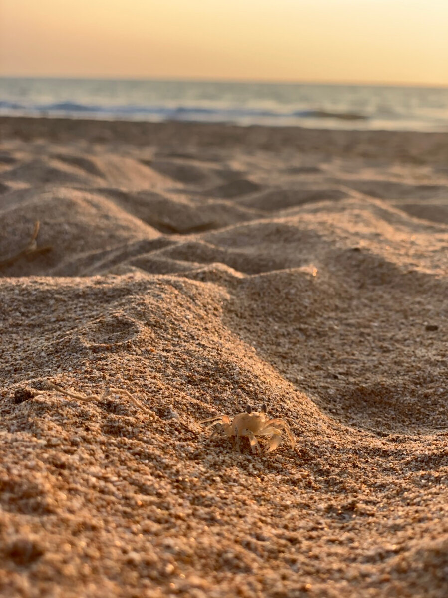 Фото из личной коллекции автора 