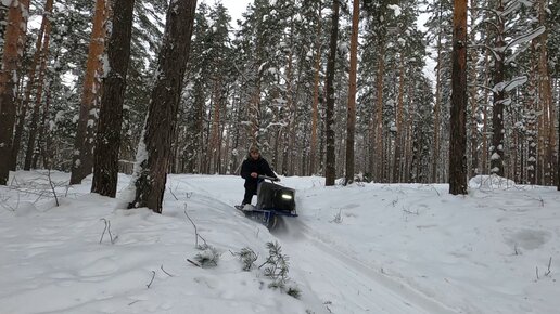 На мотособаках до избушки - Так на них ездить нельзя