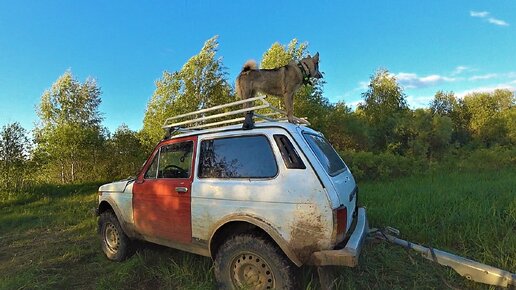 Пытаюсь найти место, где есть металлолом.