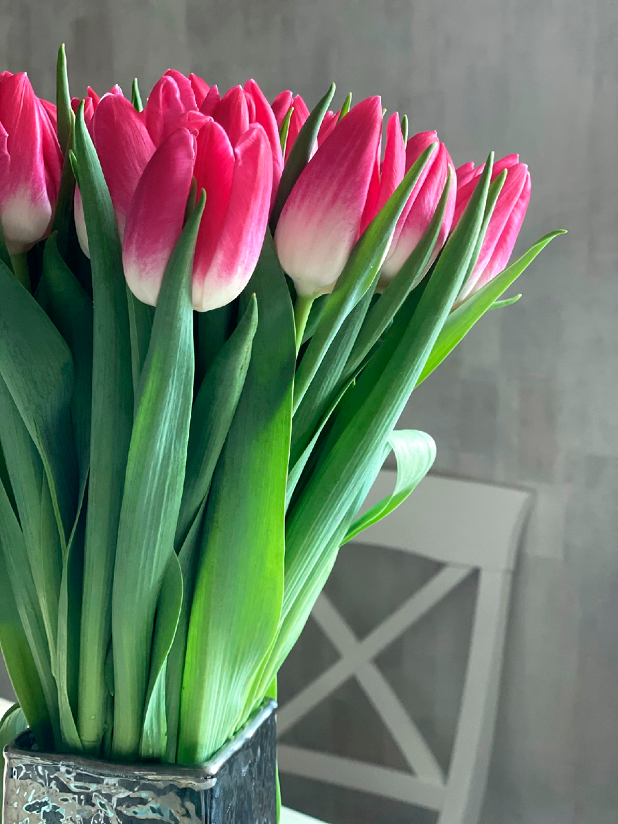 Я не могу есть от нервов. Что делать?