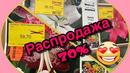 РАСПРОДАЖА В ОБИ❗️70% на Гладиолусы, Георгины, Флоксы, Канны, Лилии…май 2022