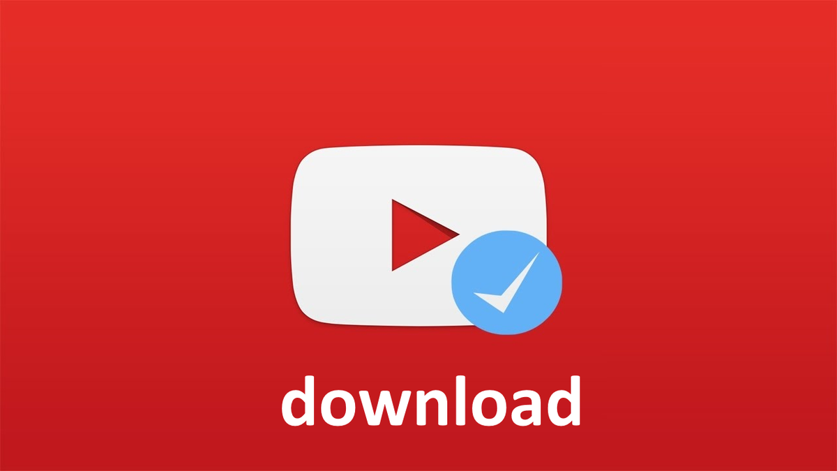 Python Как Скачать Видео С YouTube. | SoftSAR | Дзен