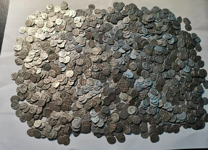 Клад чешуи найденный в Московской области