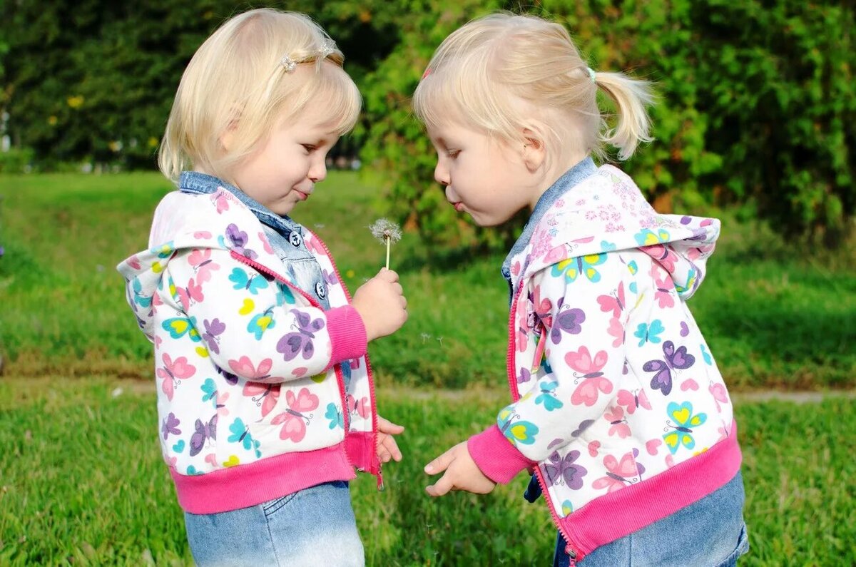 Картинка из свободных источников