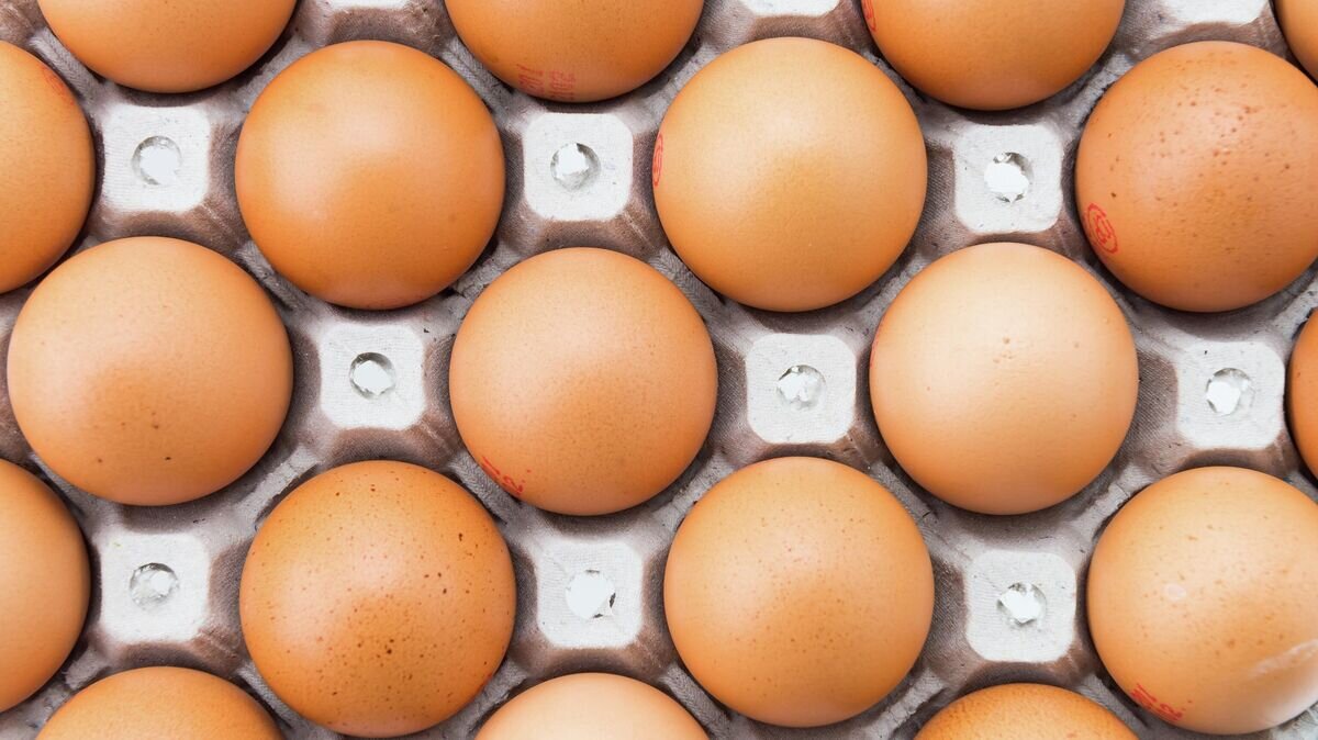    Яйца© Фото : Freepik / mrsiraphol