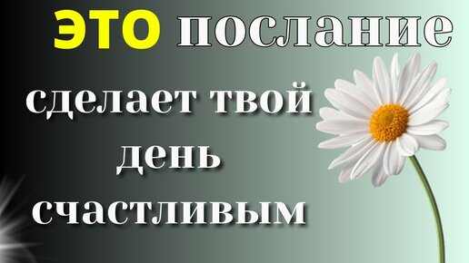 Важное послание от Вселенной: как наполниться радостью и справиться с любыми ситуациями.