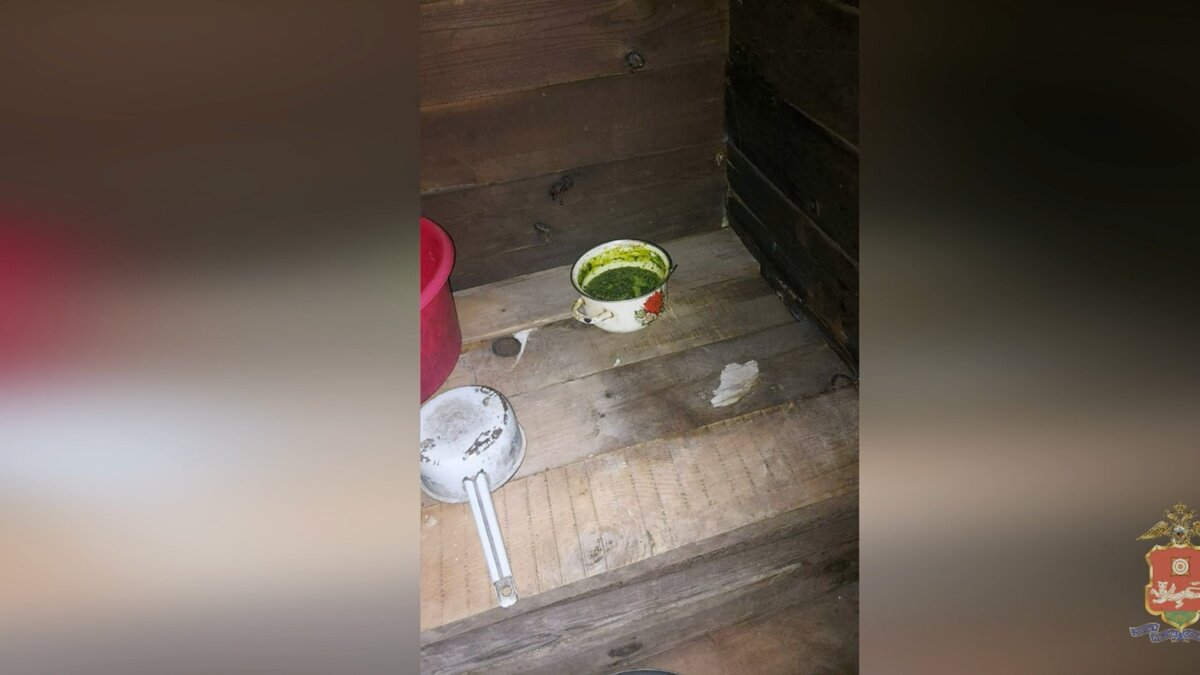     В Бейском районе задержали 43-летнего работника крестьянско-фермерского хозяйства с отваром конопли на молоке.