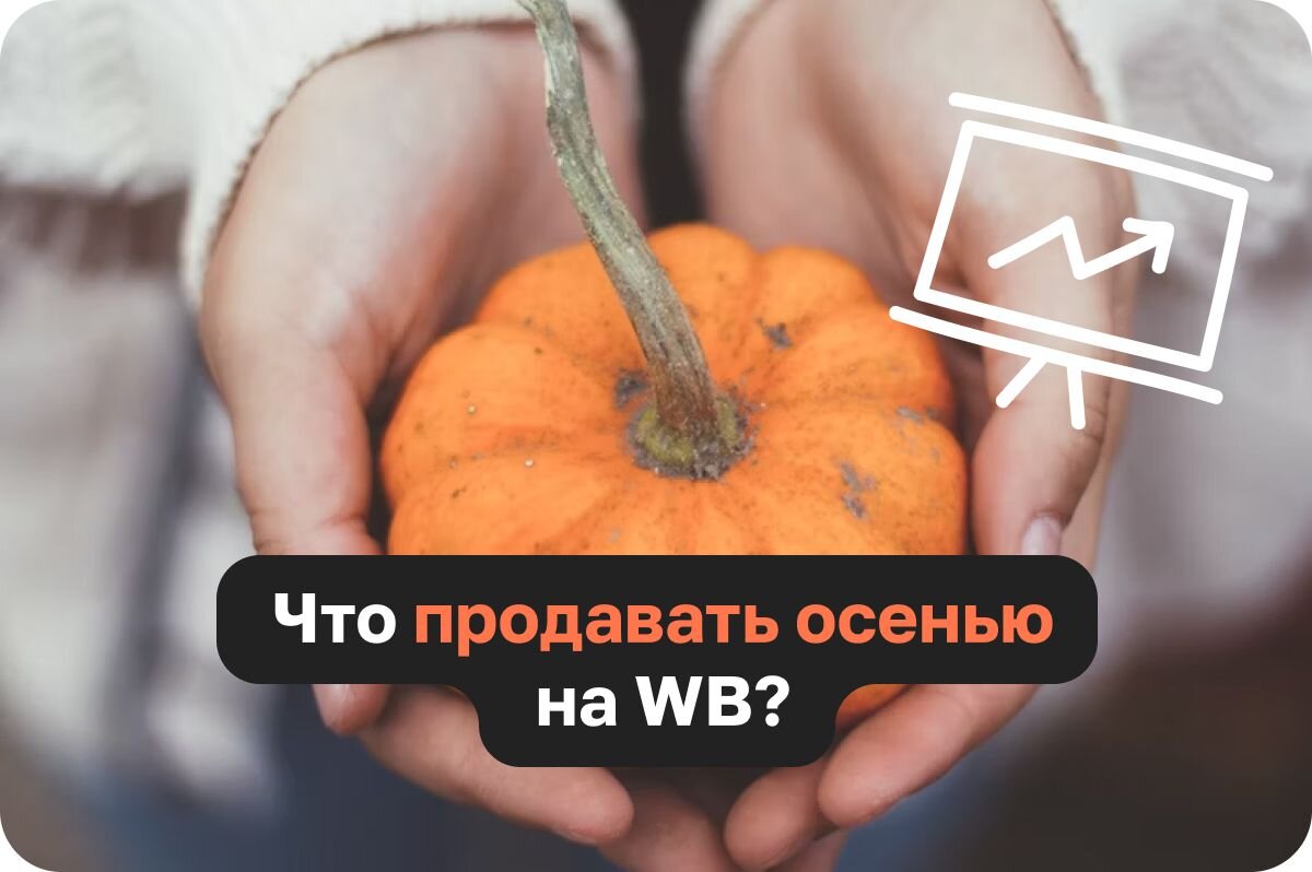 Топ-продукты для продажи на Вайлдберриз осенью: исследование рынка и  потребительского спроса | Sellego | Дзен